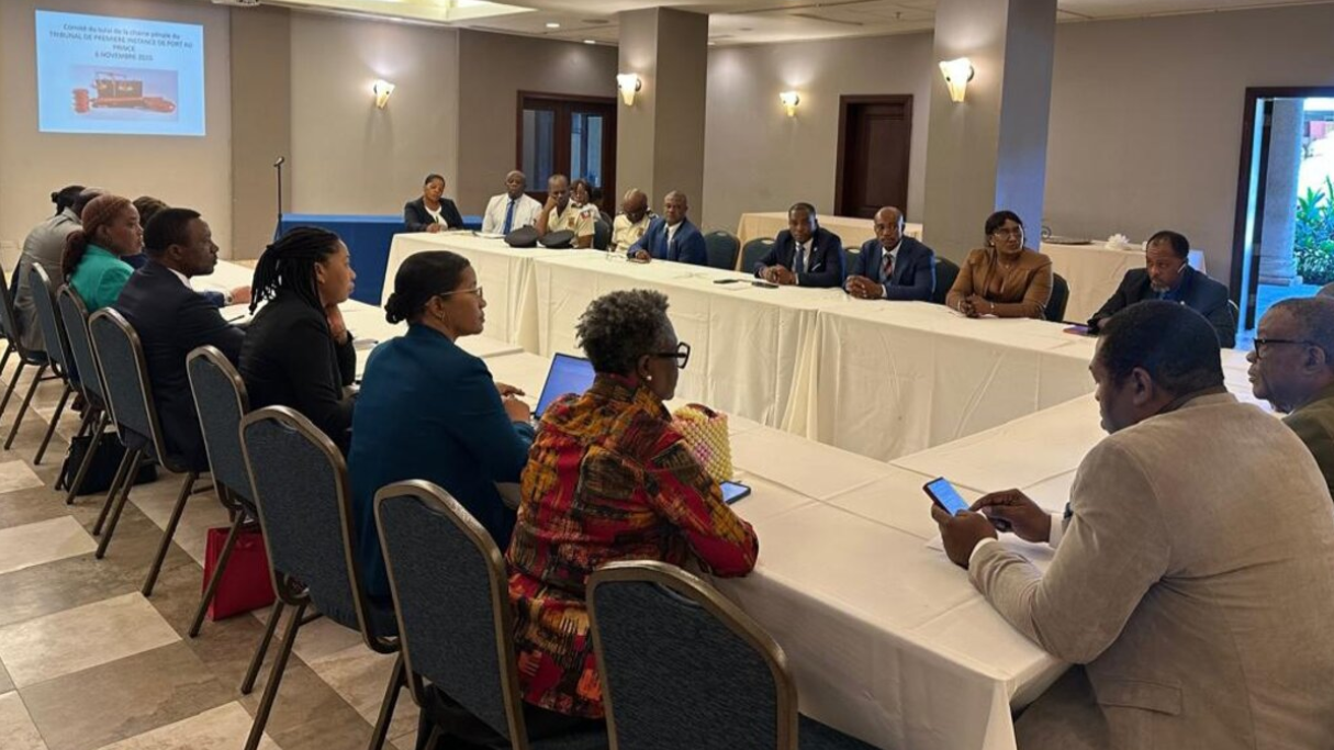 A view at the BINUH meeting.